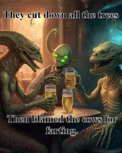 FB_IMG_1700475854322