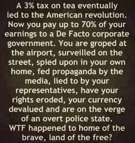 FB_IMG_1698850861251