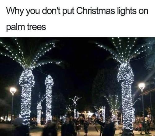 FB_IMG_1699121900416