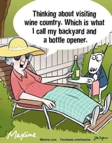 396277463_342764288433755_7397624097936930330_n