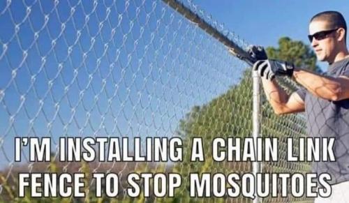 FB_IMG_1701110818726