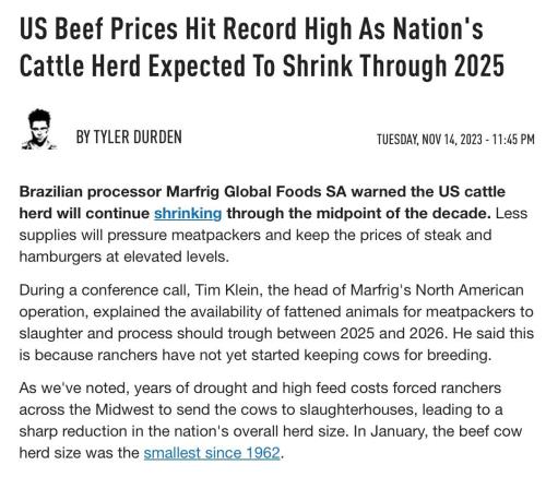 IMG_20231119_024059_100