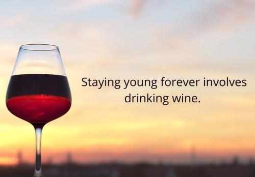 396716188_709223084567309_1670917035496410150_n