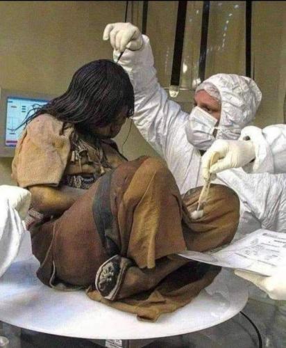 c8a3a2b6-0801-4b64-9952-9cf5c365d681