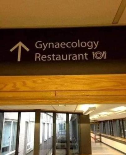 FB_IMG_1699473697532