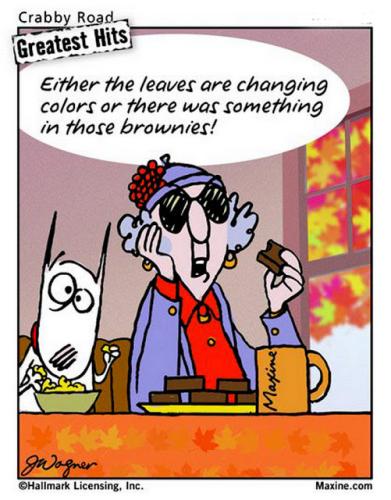 397483213_1076485976946018_8573369962066752892_n