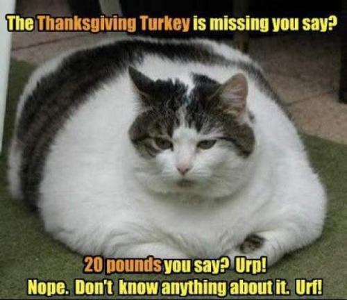 thanksgiving-meme-3