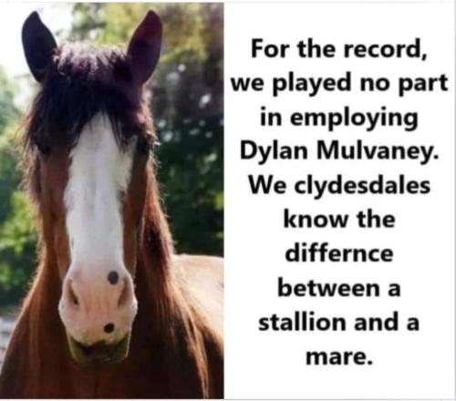 clydesdales