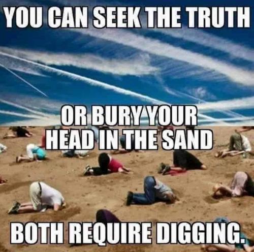 bury your head