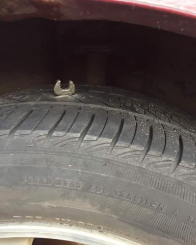 FB_IMG_1700679874709