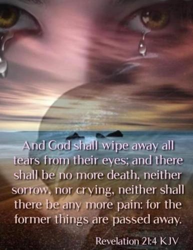 3e6d878d-5cb2-4f1c-8ae0-1469695ab06d