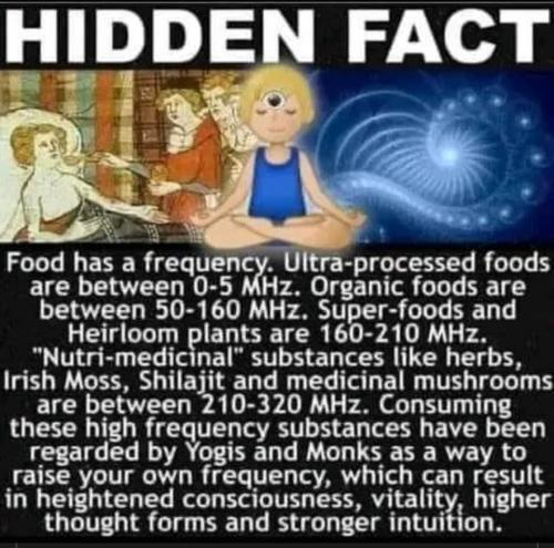 366217179_10225971361564497_6674069857614671241_n