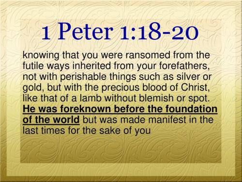 1 Peter 1_18-20