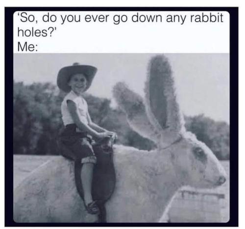 FB_IMG_1699616465988