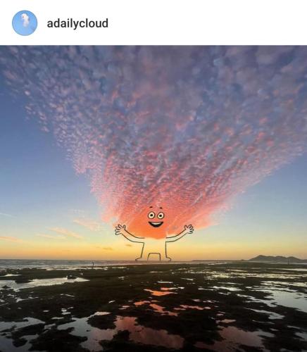 1000080598