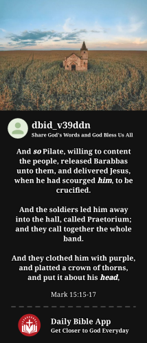 2023-11-221700687092032