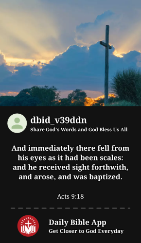 2023-11-271701108260661