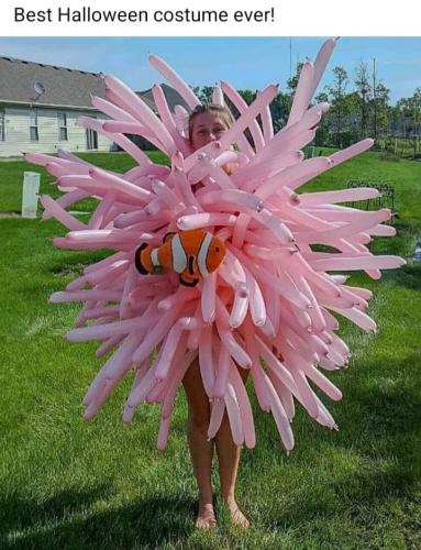 FB_IMG_1698787922761