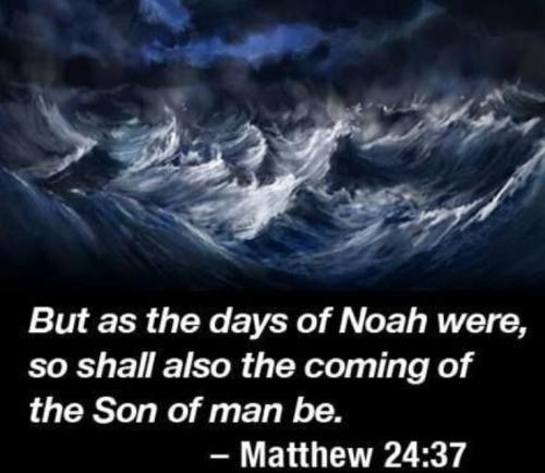 photo_2023-11-05_18-12-05