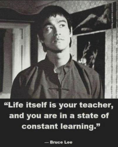 .         393779131_64573464010