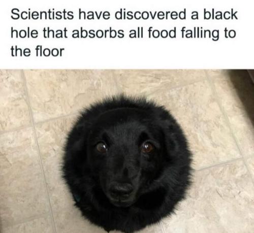 1000080540