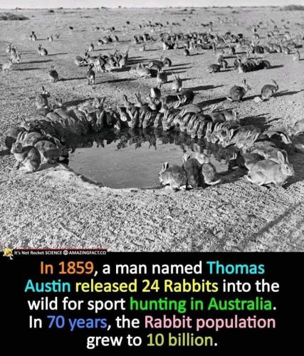 FB_IMG_1699552063049