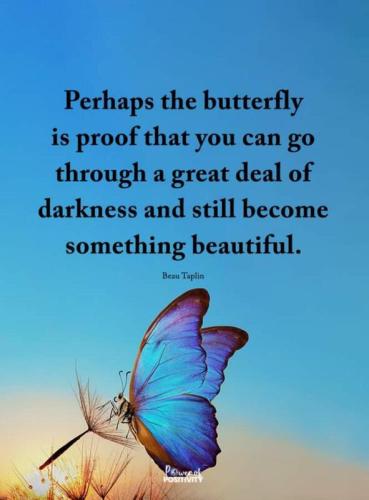 Butterfly Transformation