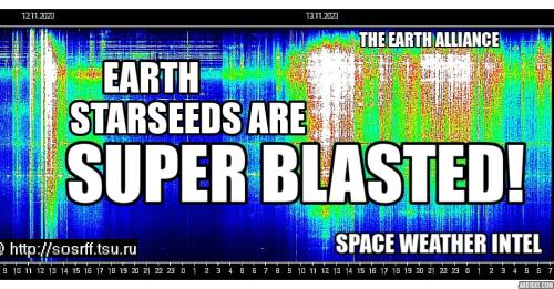 .      312910013_11556575753