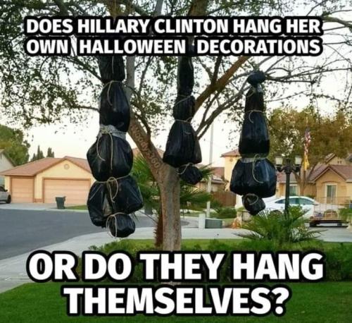 FB_IMG_1698948449255