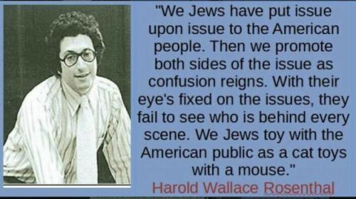 dbbd07acab80482ee415b035695627eb_1024