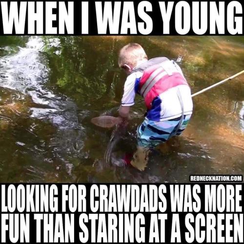 FB_IMG_1698879830442