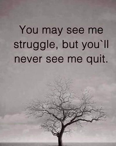 00c17de8-6d4f-45b6-b962-2873acb66ec9