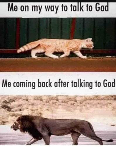 FB_IMG_1699606158875