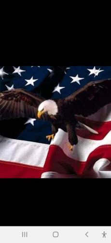 Screenshot_20230716-190020_Wimkin Free Speech Social Media