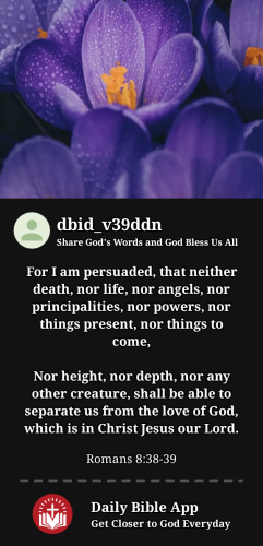 2023-11-231700787872490