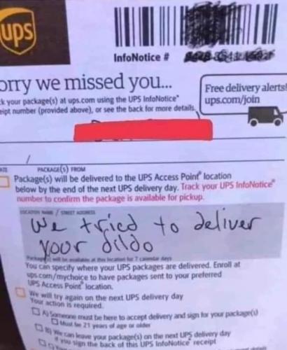 FB_IMG_1699907266318