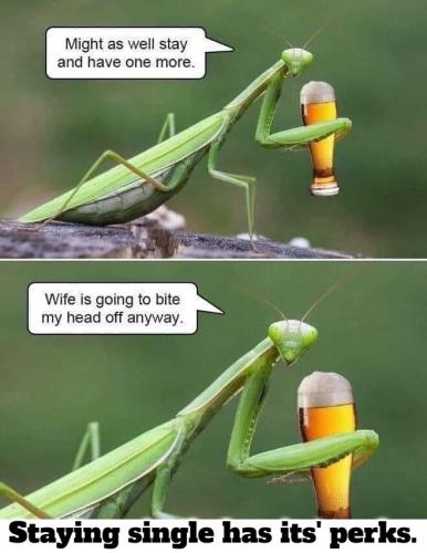 staying single has its perks