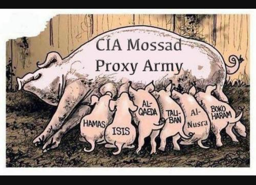 Screenshot_20231106_170801_YouTube