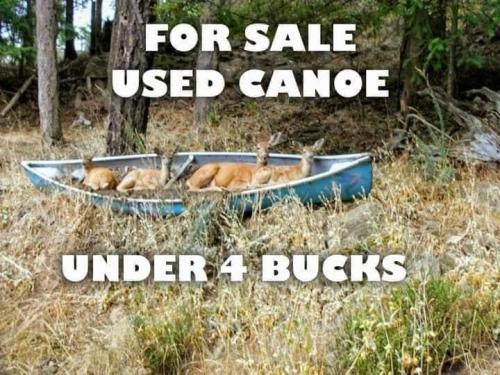 401620436_7452905034739743_1611701698889953605_n