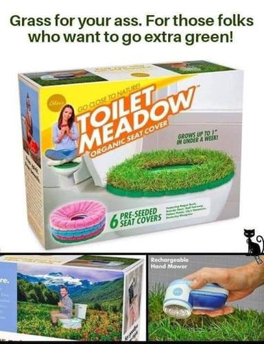 toilet meadow
