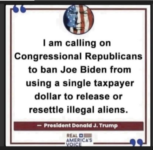 ca4f0d31-4e0d-4a4c-9ff5-752d954072c2