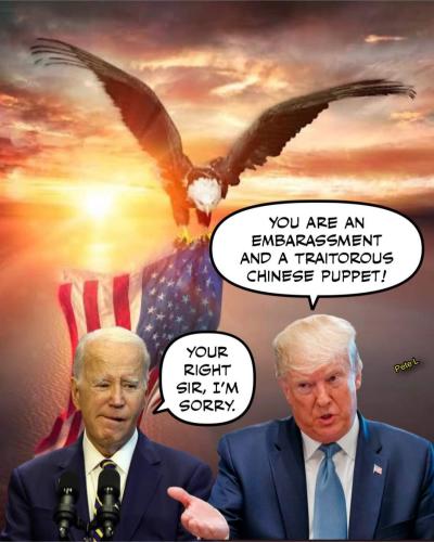 FB_IMG_1699887238982