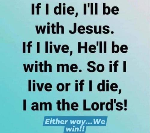 6f988478-5848-4e39-a651-16c3777f0ddf