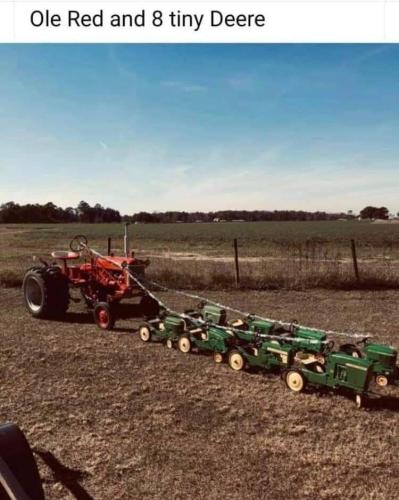 FB_IMG_1701349039573