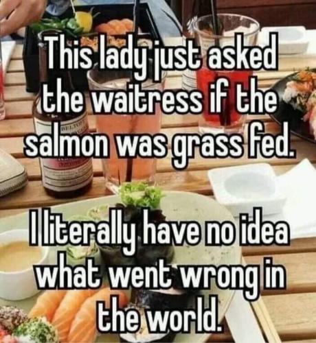 FB_IMG_1700010020564