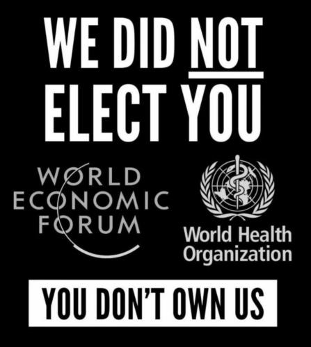 5a43d7d0-b1e5-45c4-811b-f291cfe09d4c