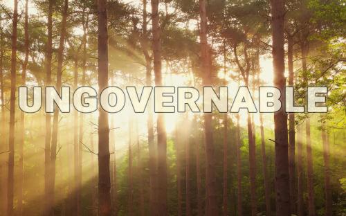ungovernable-forest-logo-big-gigapixel-standard-scale-2_00x