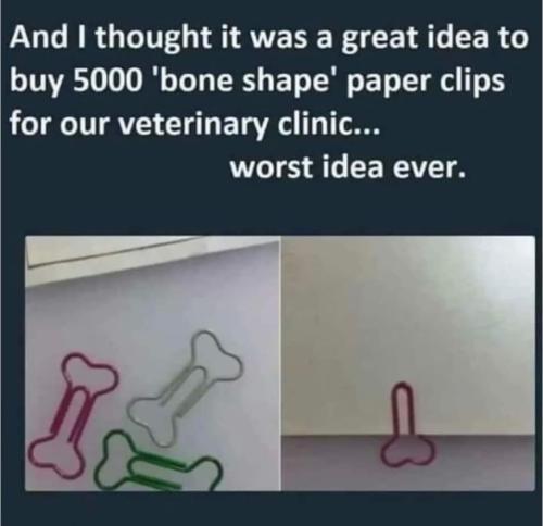 FB_IMG_1699474750150