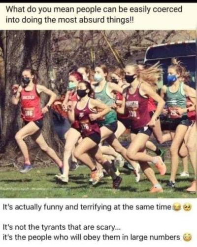 funny and terrifying