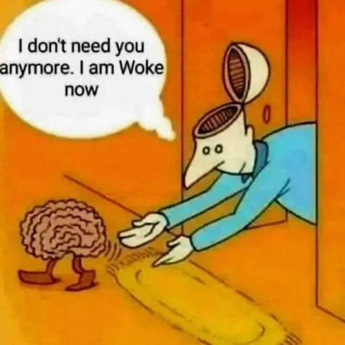 398577447_674961788070807_2543297918552446116_n